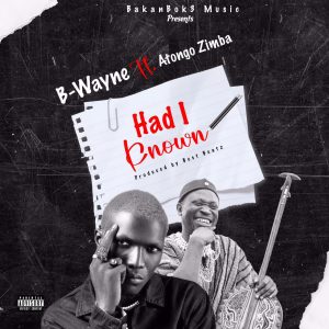 B-Wayne – “Had I Known” ft. Atongo Zimba: A Reggae Fusion